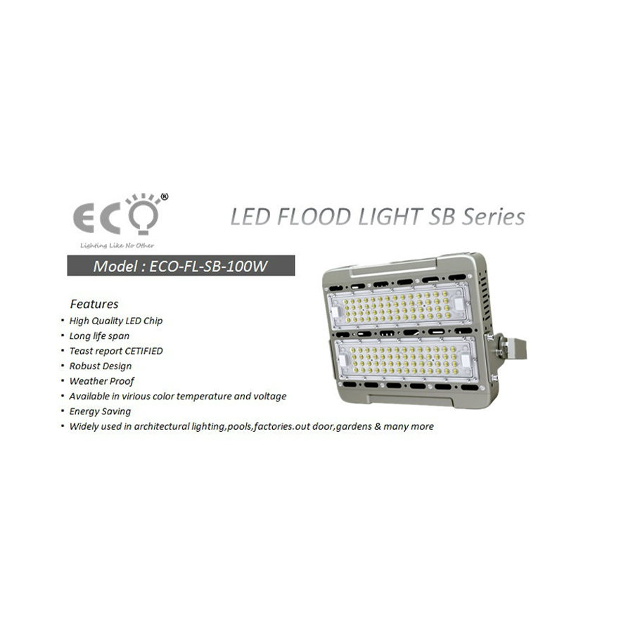 Led Flood Light 2